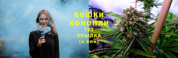 гидропоника Горнозаводск