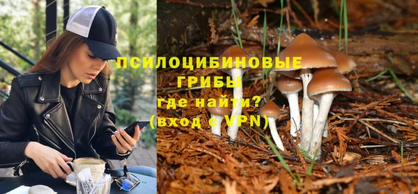 ПСИЛОЦИБИНОВЫЕ ГРИБЫ Вязьма