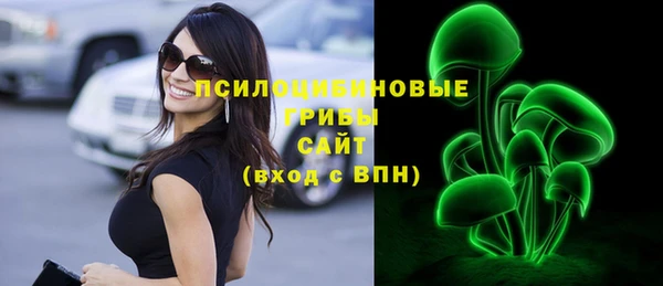 ПСИЛОЦИБИНОВЫЕ ГРИБЫ Вязьма