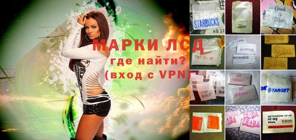 гидропоника Горнозаводск