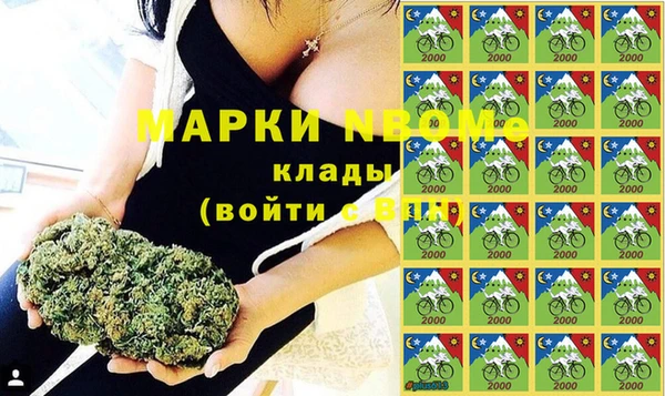 ПСИЛОЦИБИНОВЫЕ ГРИБЫ Вязьма
