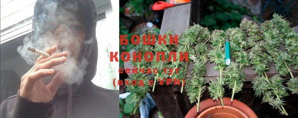 ПСИЛОЦИБИНОВЫЕ ГРИБЫ Вязьма