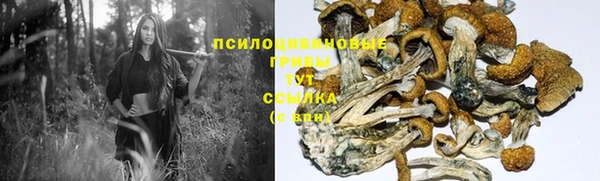 герыч Вязники