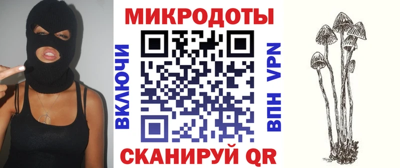 МЕГА ССЫЛКА  Заозёрск  Псилоцибиновые грибы Psilocybe 
